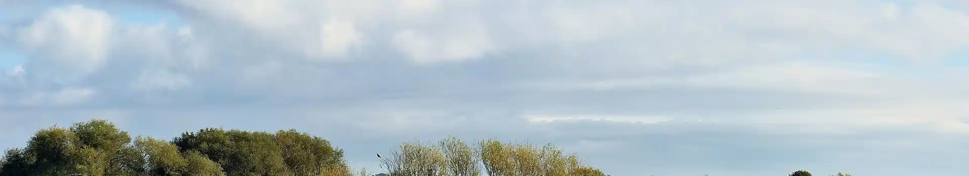 Bolton upon Dearne campsites