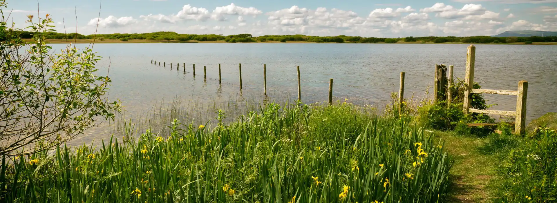 Kenfig campsites
