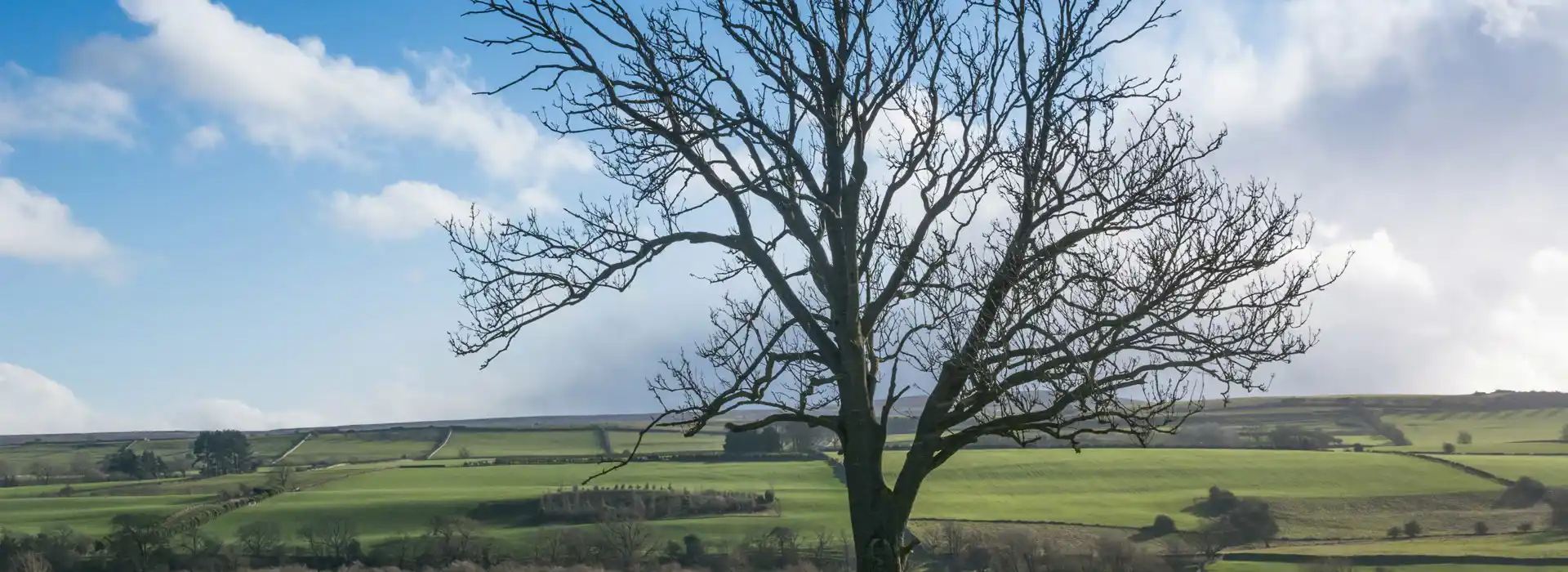 Wensley campsites