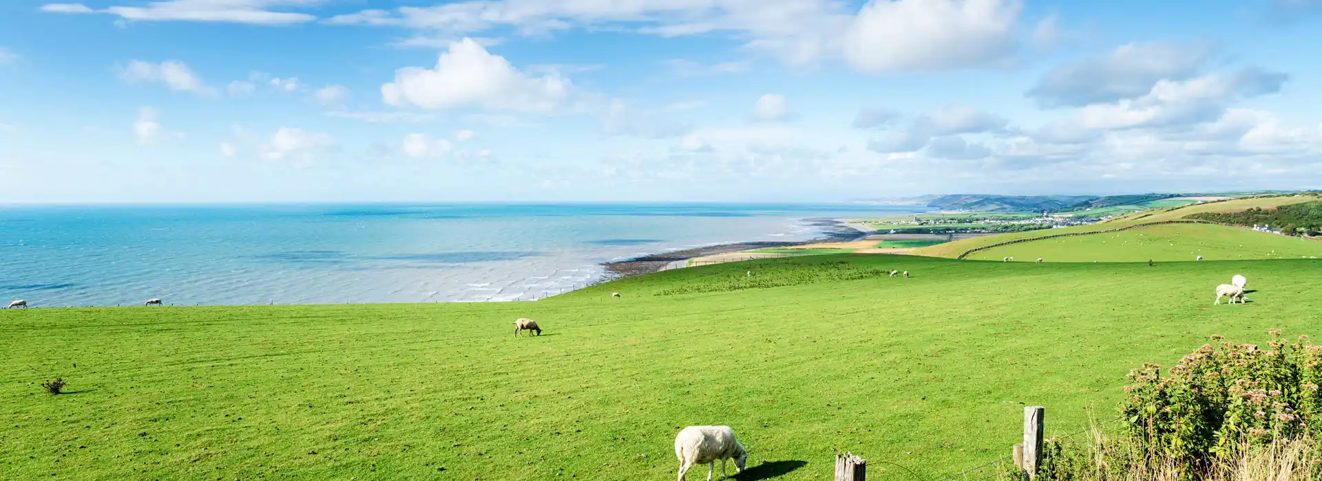 Aberarth campsites