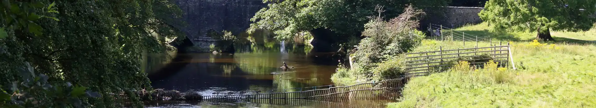 Levens campsites