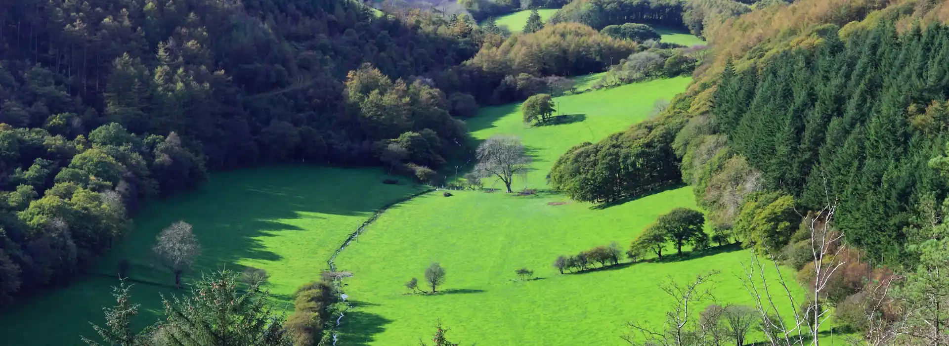 Ponterwyd campsites