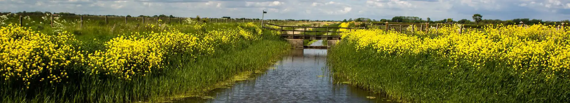 Saltfleetby campsites