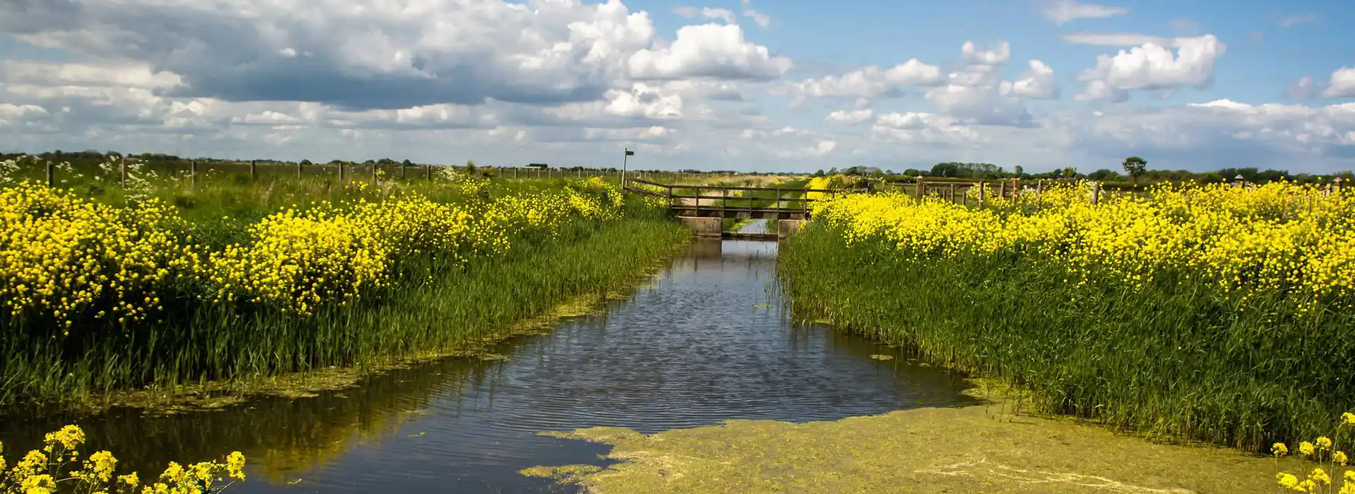 Saltfleetby campsites