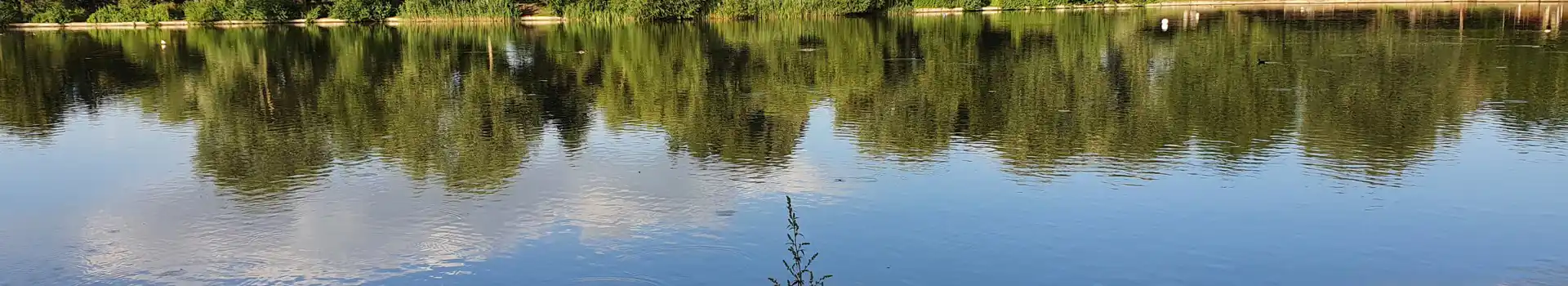 Needham Market campsites