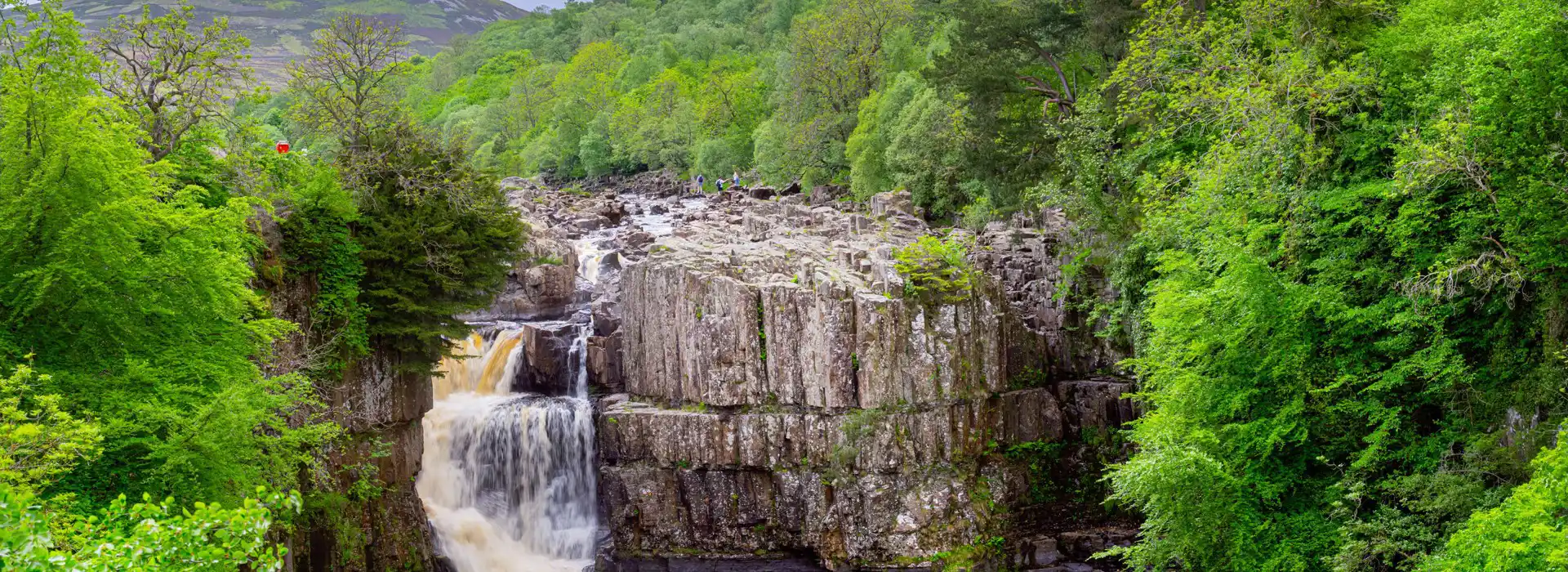 Forest-in-Teesdale Forest-in-Teesdale