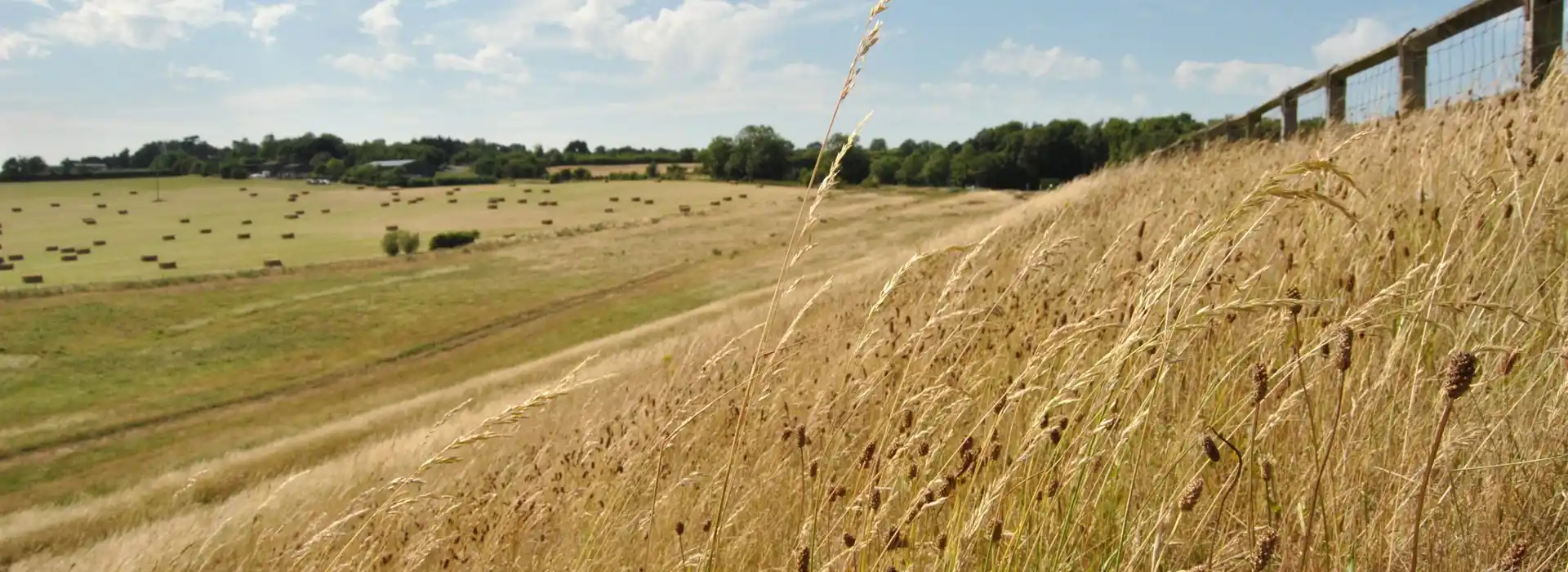 Brixworth Brixworth