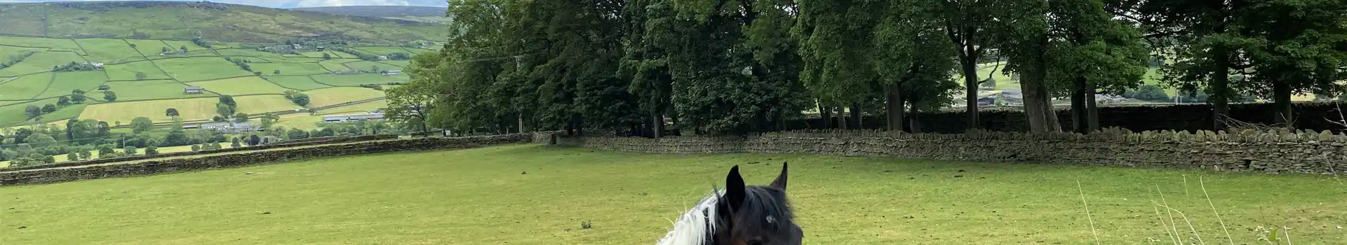 Lothersdale