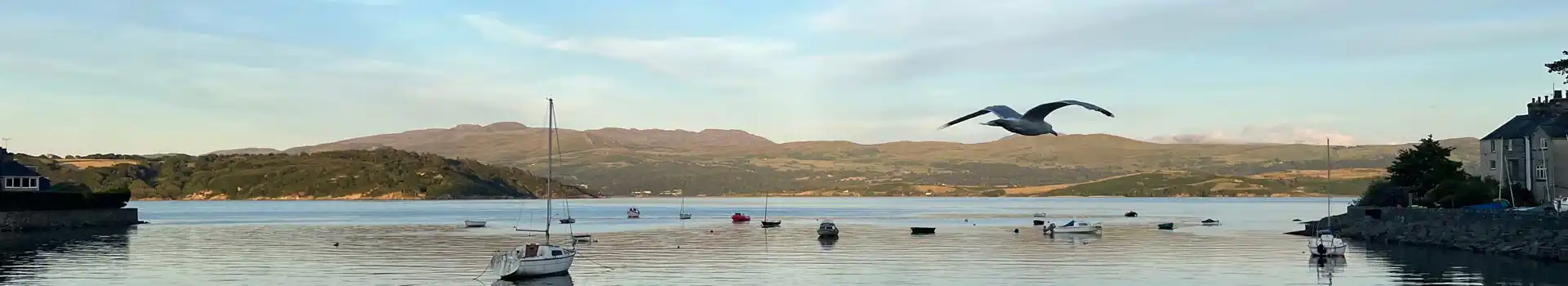 Campsites in Borth-y-Gest