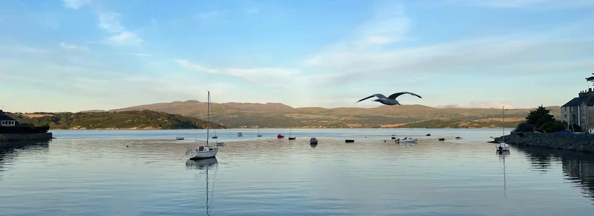 Campsites in Borth-y-Gest 