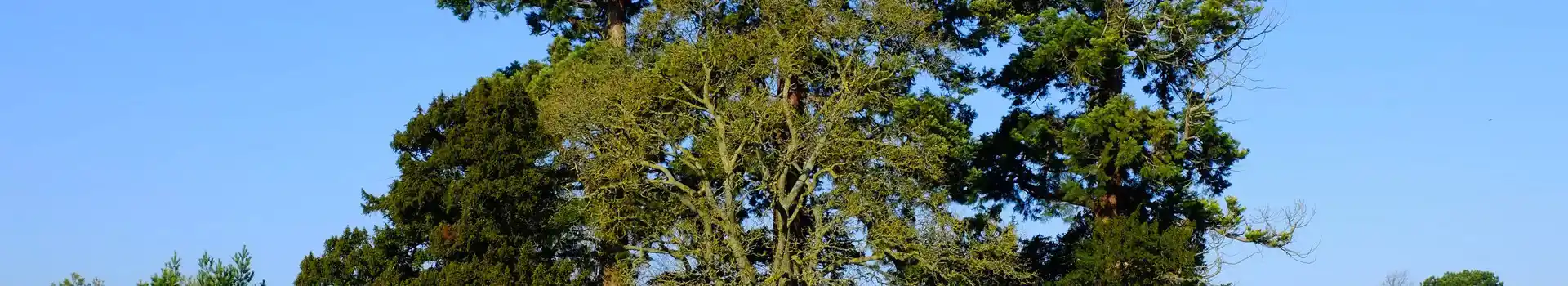 Campsites near Aston Clinton