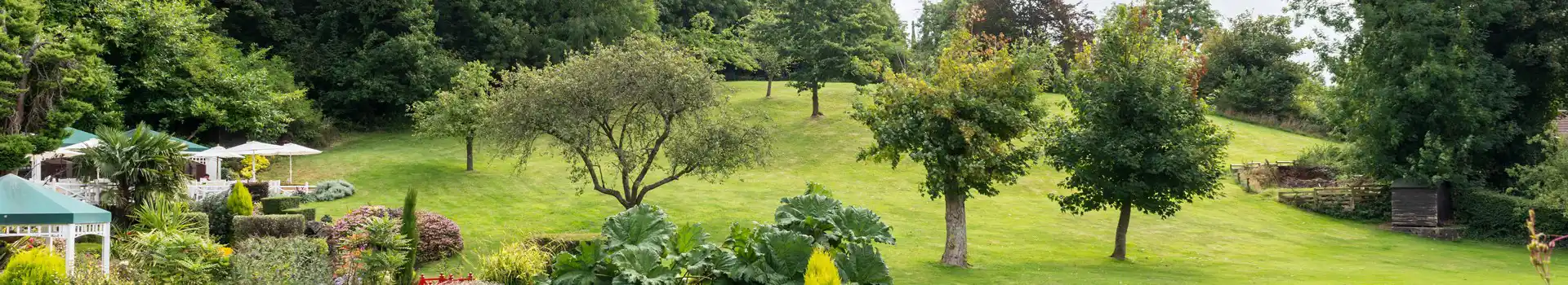 Campsites near Cockington