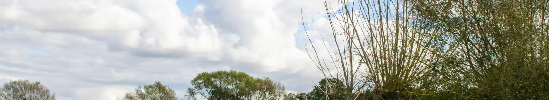 Campsites in Grantchester