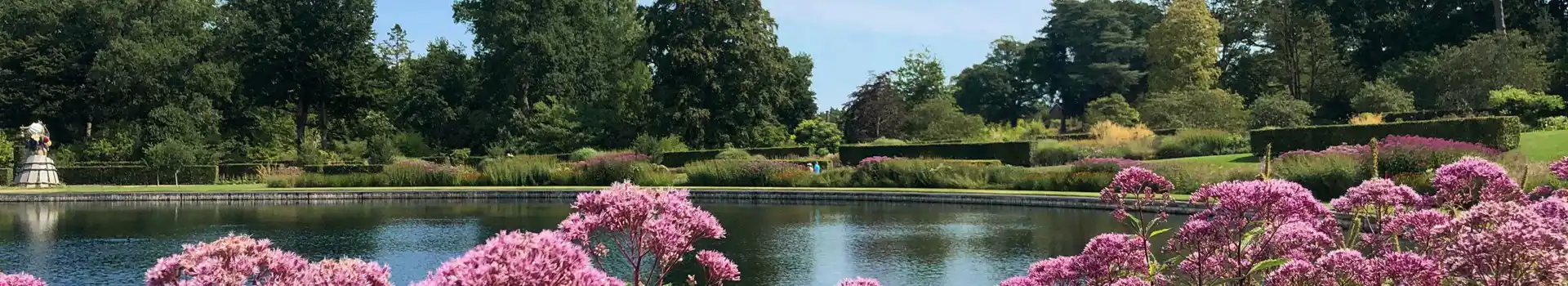 Campsites in Wisley