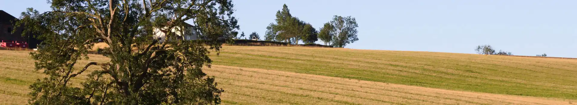 Wold Newton