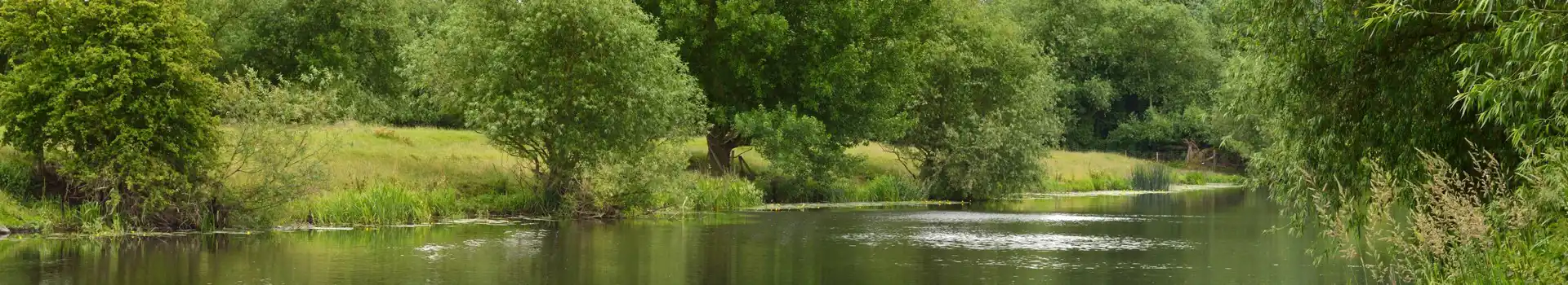 River trent in Blyton
