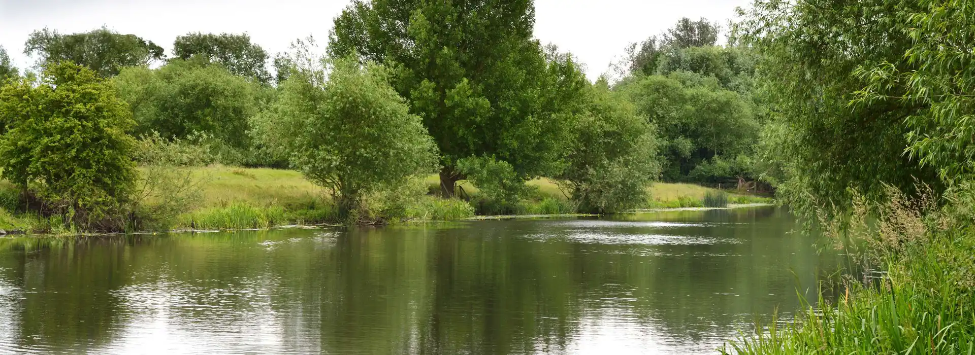 River trent in Blyton