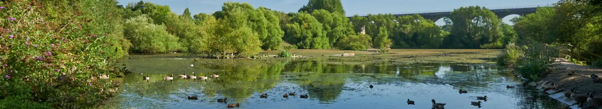 Reddish Vale Country Park