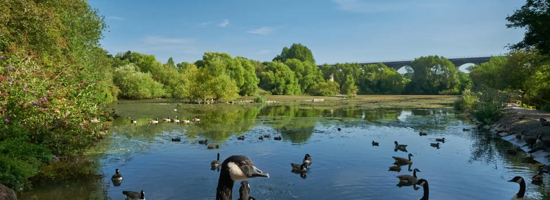 Reddish Vale Country Park