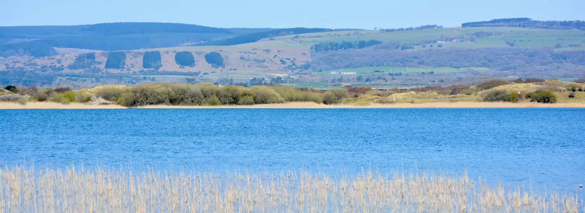 Kenfig National Nature Reserve