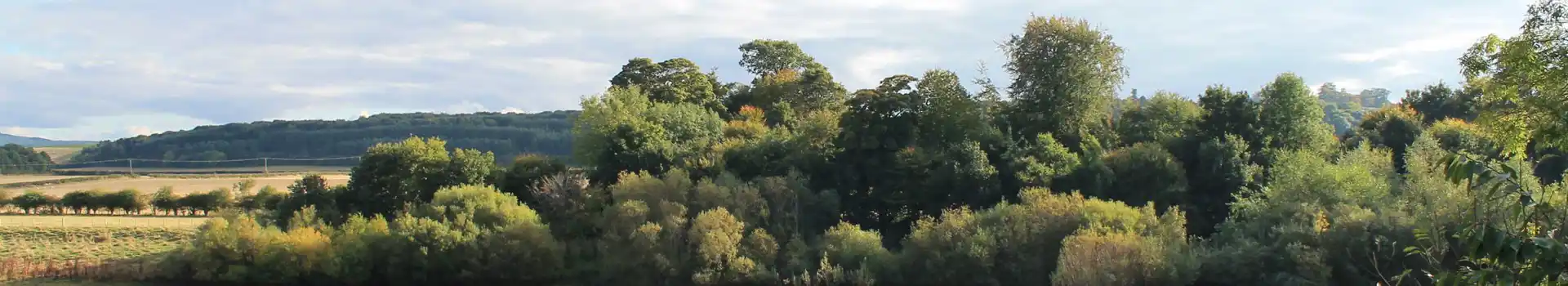 Campsites near St Boswells