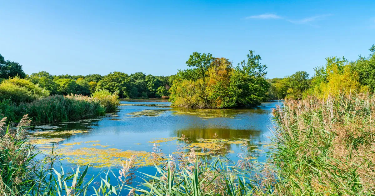 7 South Ockendon campsites Best camping in South Ockendon, Essex