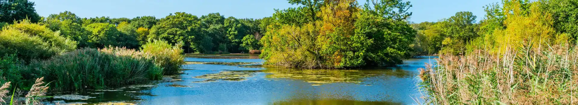 campsites in South Ockendon