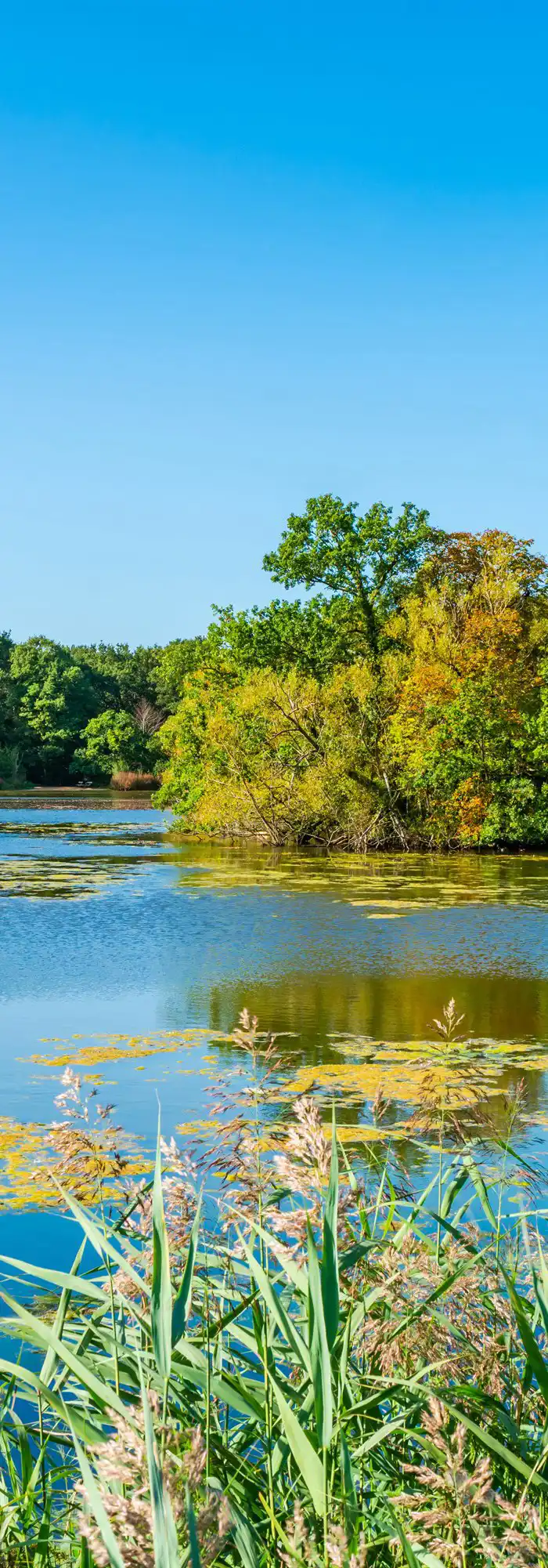 7 South Ockendon campsites Best camping in South Ockendon, Essex