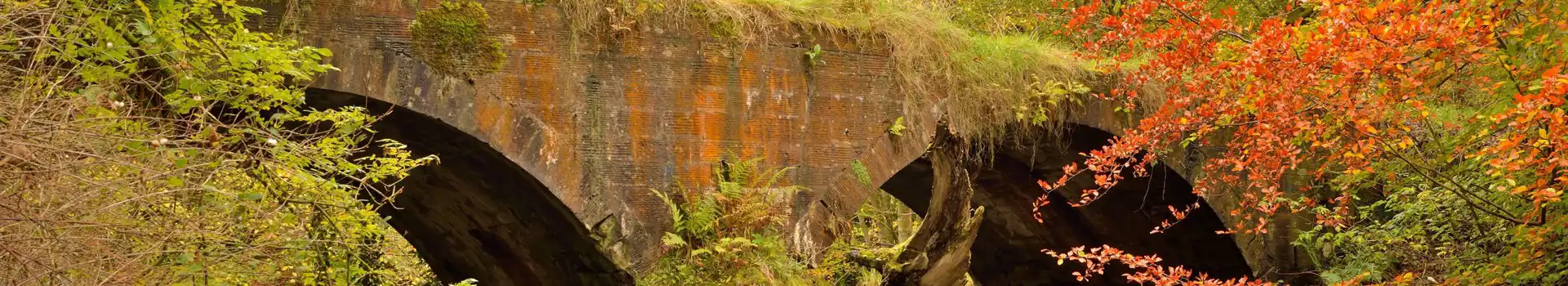 Campsites in Bellshill