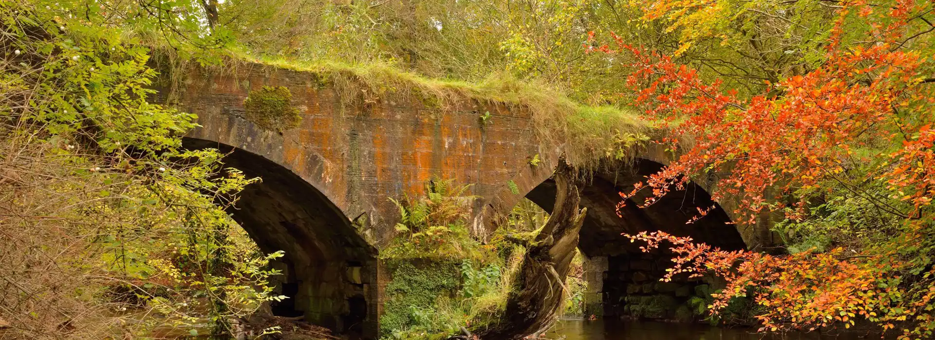 Campsites in Bellshill