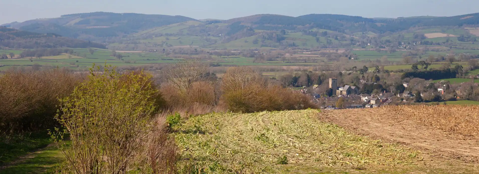 leintwardine