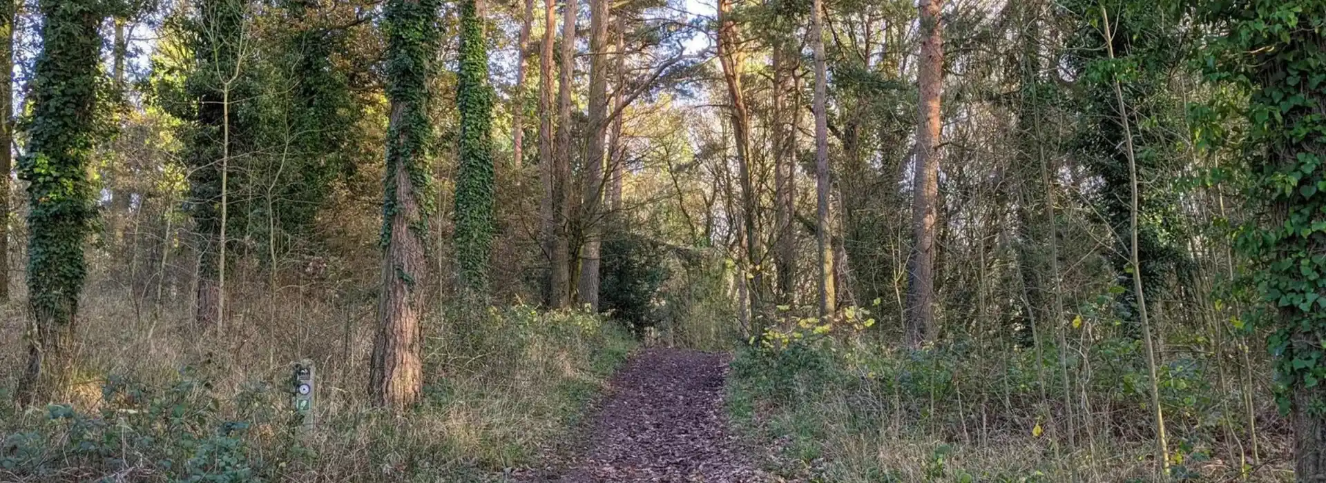 Doverdale Doverdale
