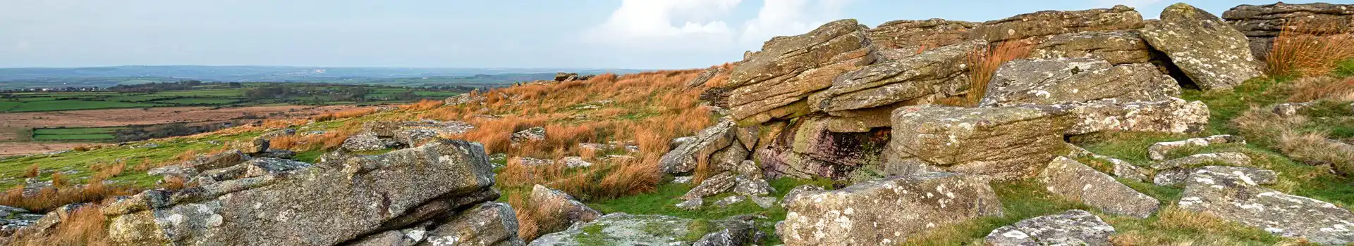 st breward
