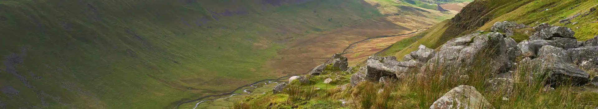 Campsites in Dunnington