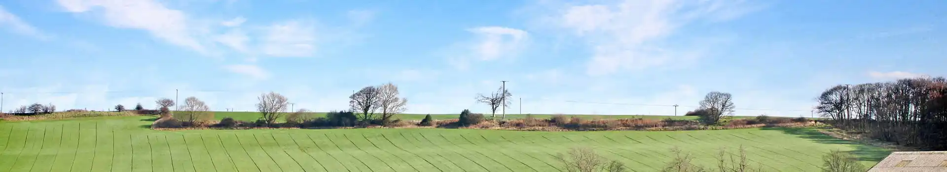 Campsites near Nawton