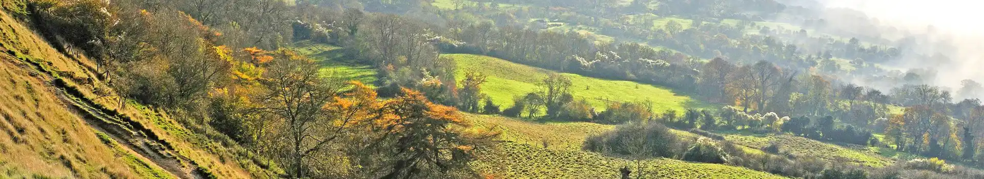 Campsites near Prestbury