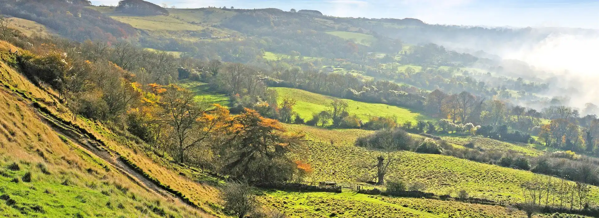 Campsites near Prestbury