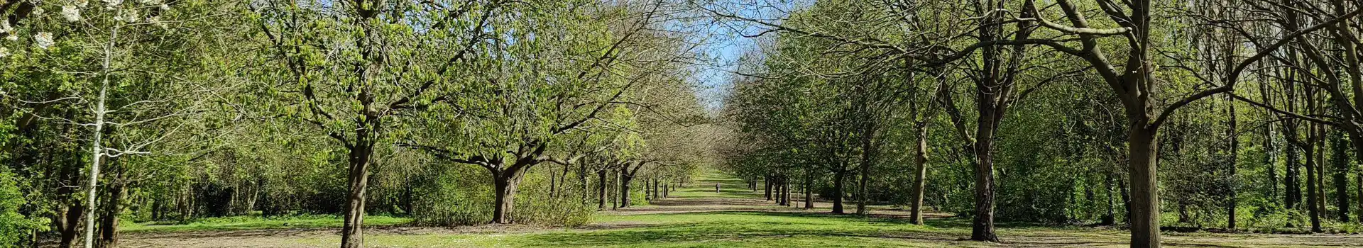 Campsites near Shurton