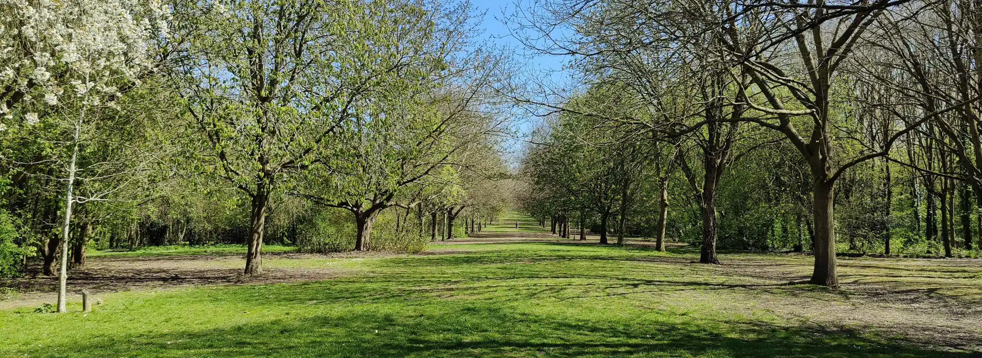 Campsites near Shurton