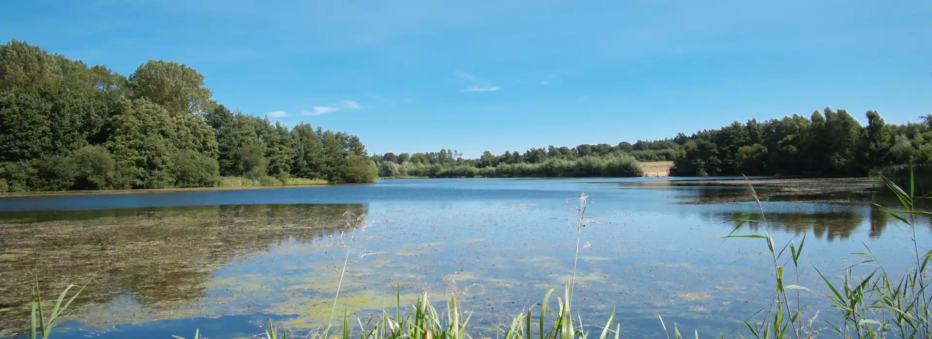 Campsites near Stanford