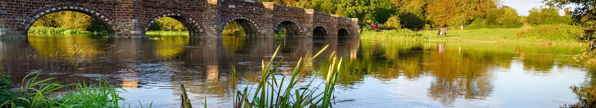 Campsites near Sturminster Marshall