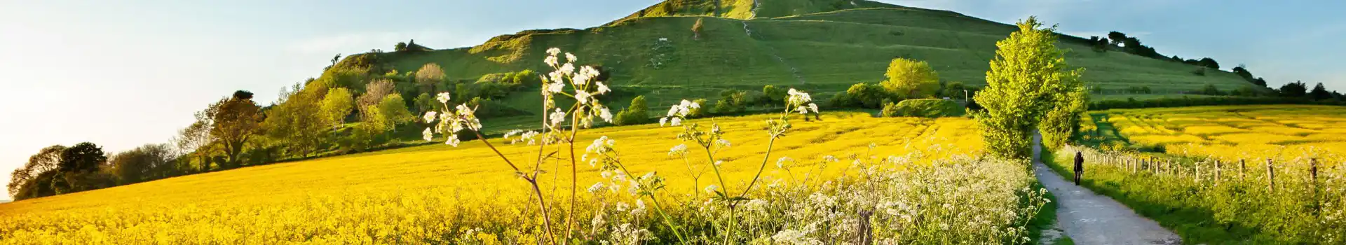 Campsites near Sutton Veny