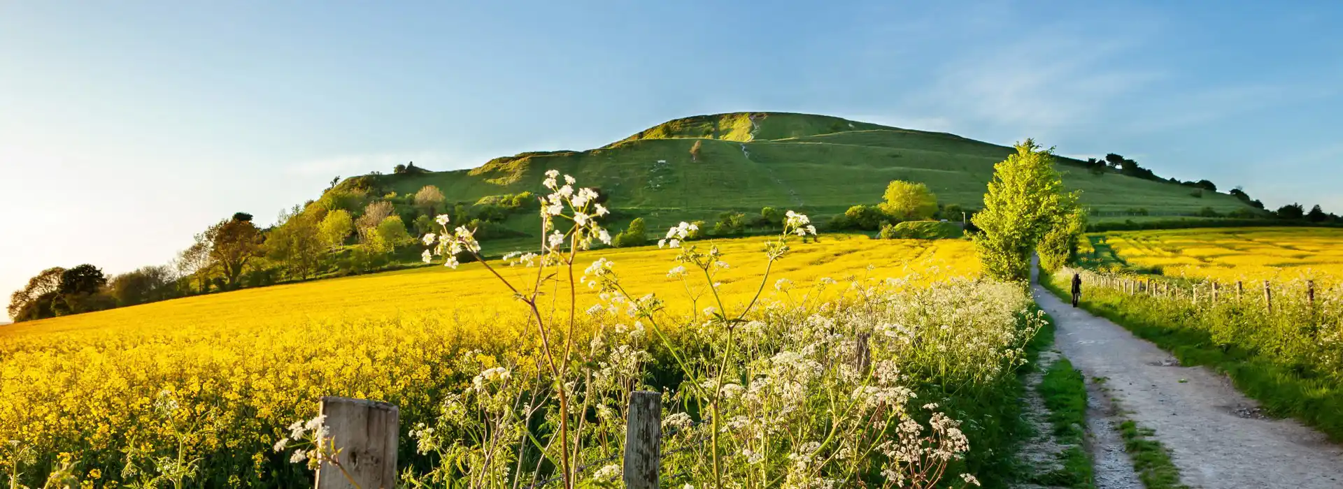 Campsites near Sutton Veny