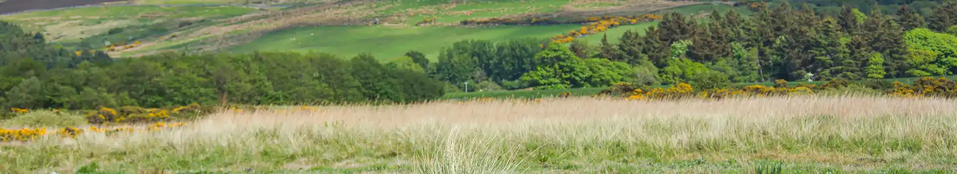 Campsites near Tayinloan