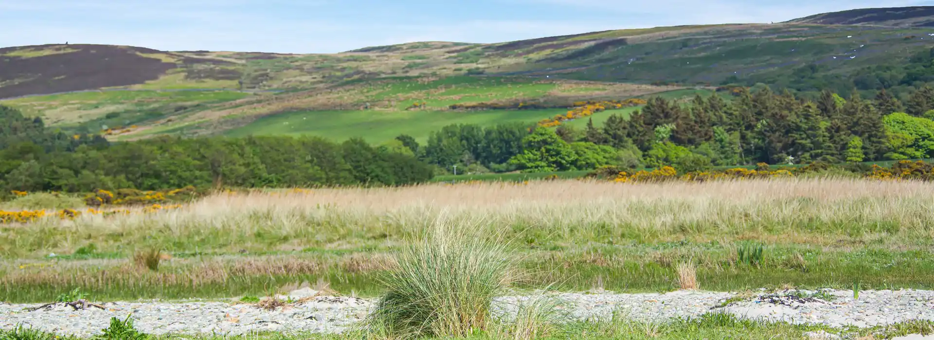 Campsites near Tayinloan