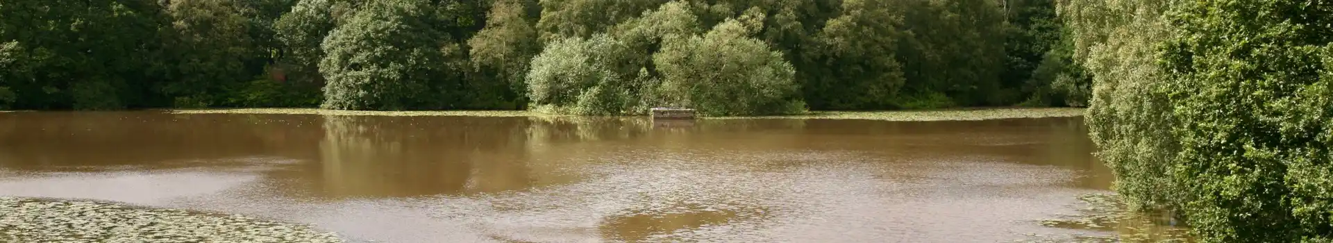 Campsites in Wrightington