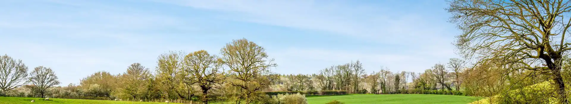 Campsites near Ellough
