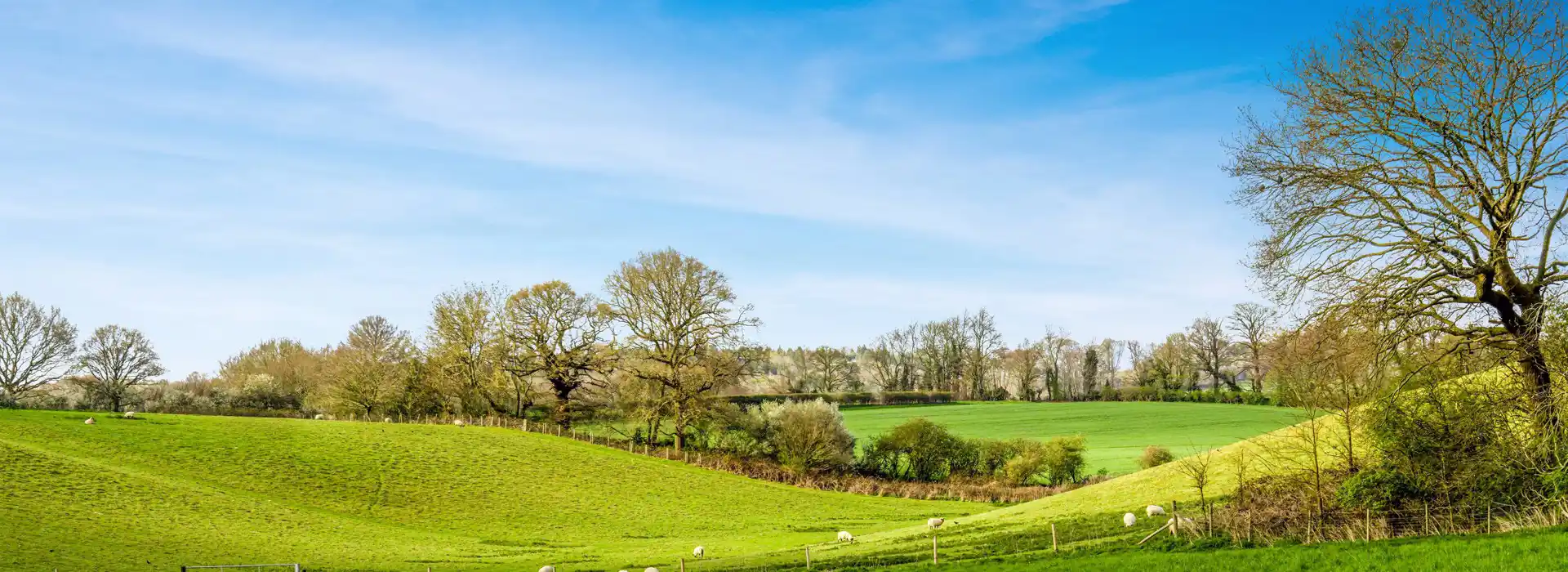 Campsites near Ellough