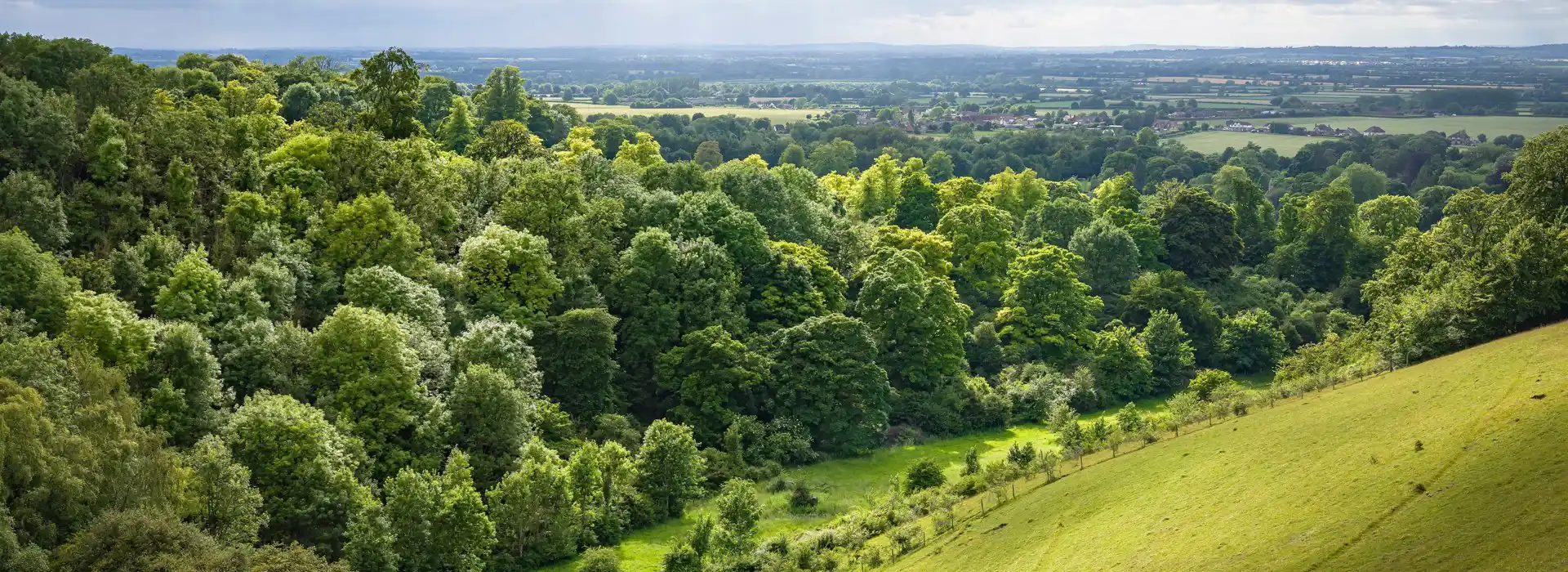 Campsites near Gerrards Cross