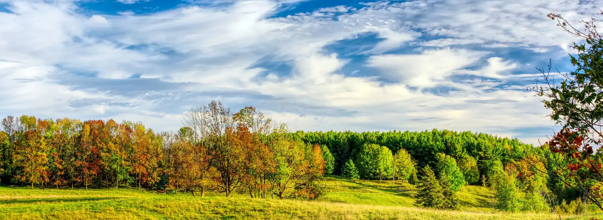 Campsites near Ickham